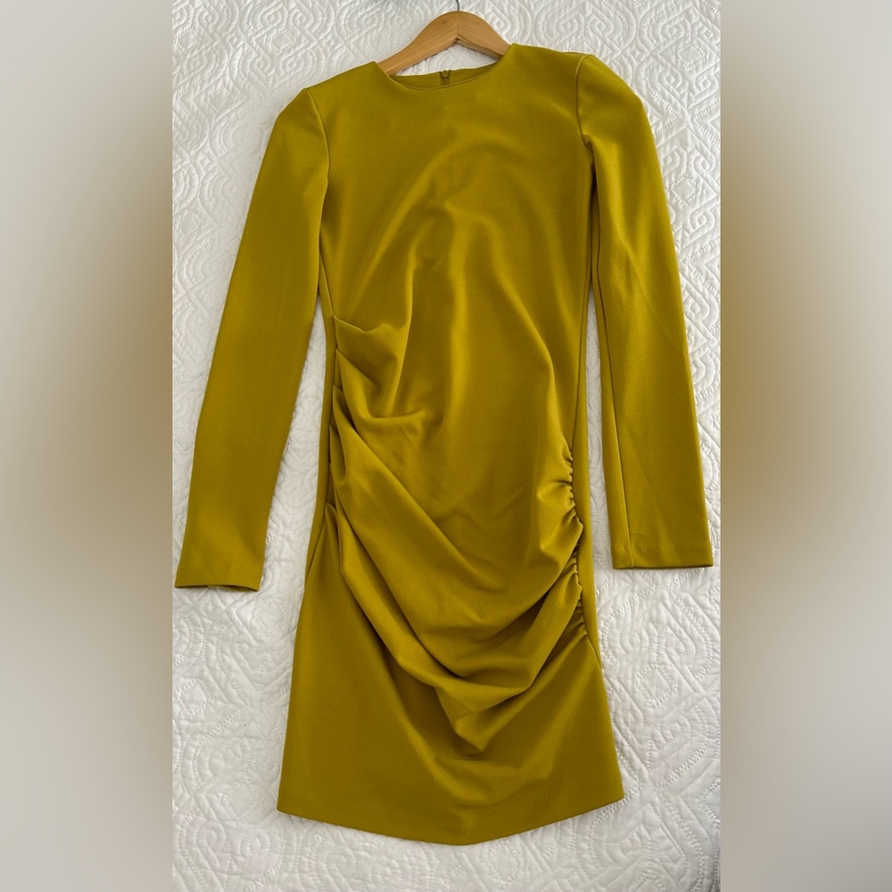 ZARA Longsleeve Dress